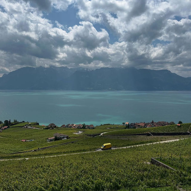Lavaux Vineyards in Summer: A Sun-Drenched Paradise of Wine & Wanderlust