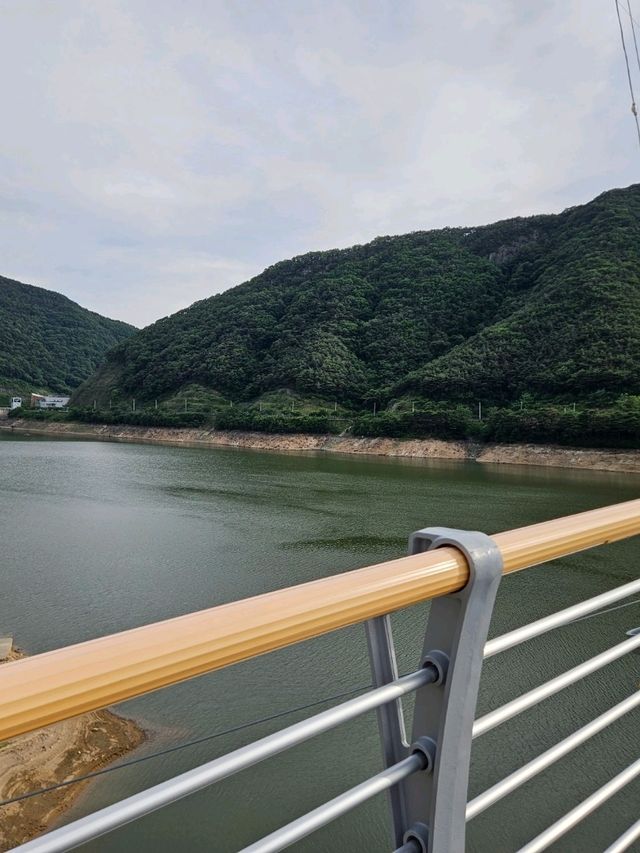 영천 보현산댐 출렁다리 걷기 좋은 명소