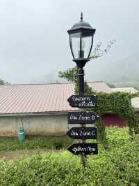 บ้านภูหมอก ยอดดอยม่อนแจ่ม