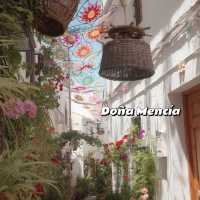 Cordoba Patio Festival: A Second Visit! 🌸🌼