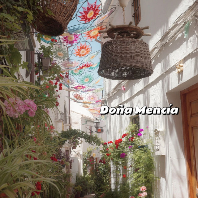 Cordoba Patio Festival: A Second Visit! 🌸🌼
