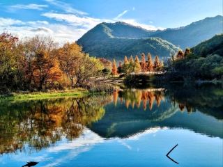 Lazy Strolls and Duck Drama at Jucheon Ecological Park
