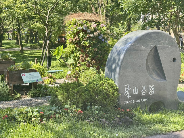 週末去哪裡 ｜ 象山登高望遠野餐趣