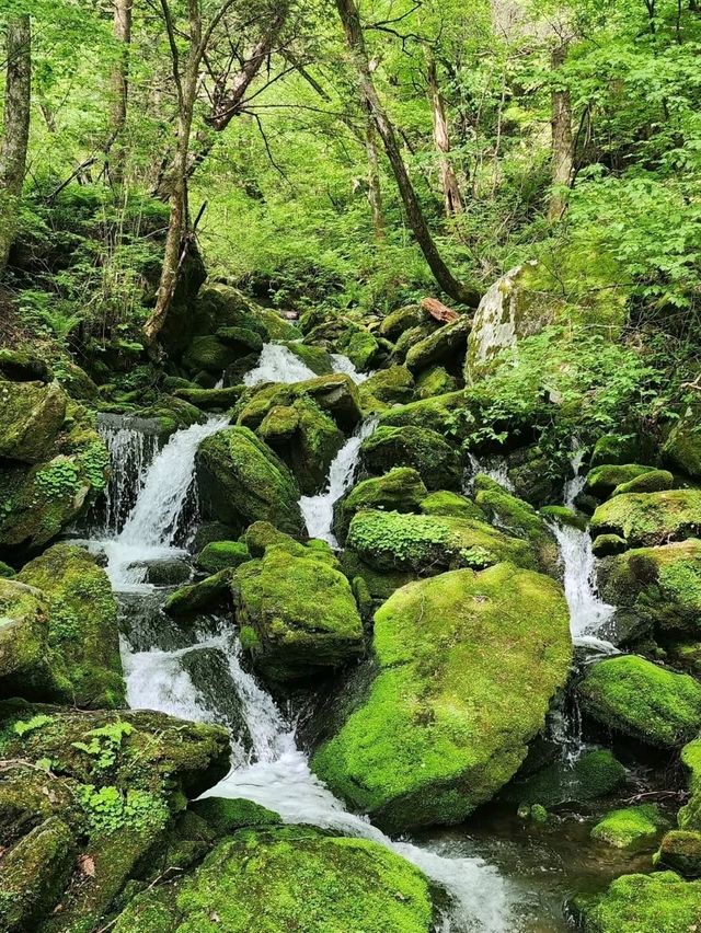 Gariwangsan’s Peaceful Power Hike