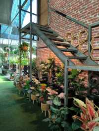 Budget Stroll Among Hanging Gardens and Bonsai