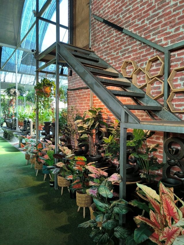 Budget Stroll Among Hanging Gardens and Bonsai