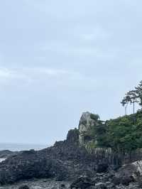 제주도의 여름