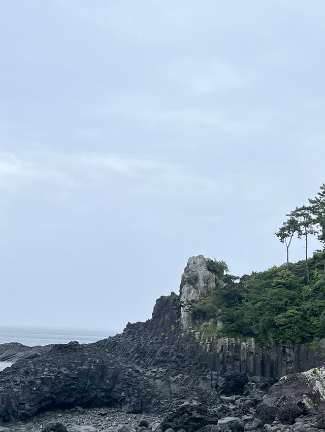 제주도의 여름
