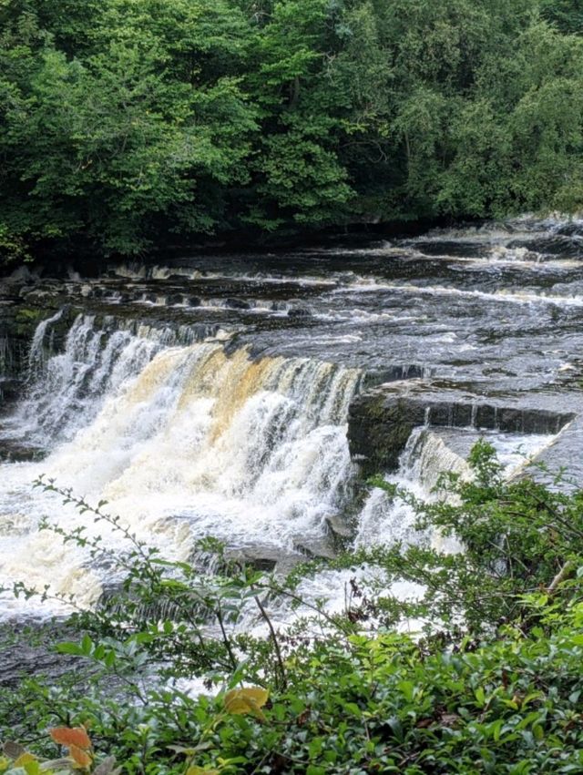 Aysgarth Falls – Nature’s Symphony in the Heart of the Dales