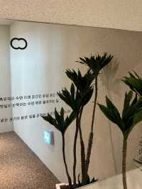 💘💫경기도 양평 대형 카페 추천 흑유재