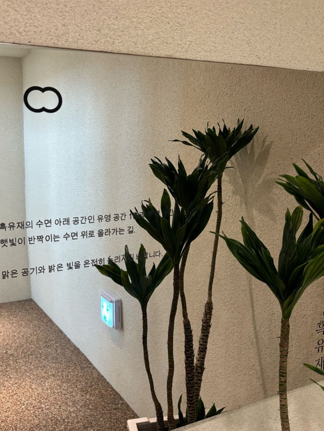 💘💫경기도 양평 대형 카페 추천 흑유재