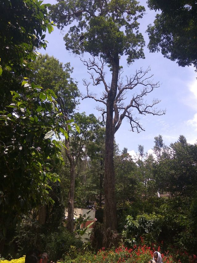 Anna Park Yercaud