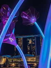 EXPERIENCE LIFE BENEATH THE WAVES IN THIS YEAR’S I LIGHT FESTIVAL! 💡🌊