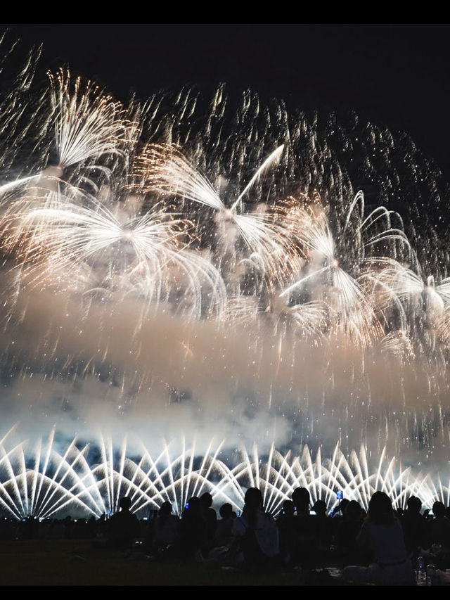 祈りと希望が夜空に咲く。長岡花火大会で心震える夏の記憶🎆