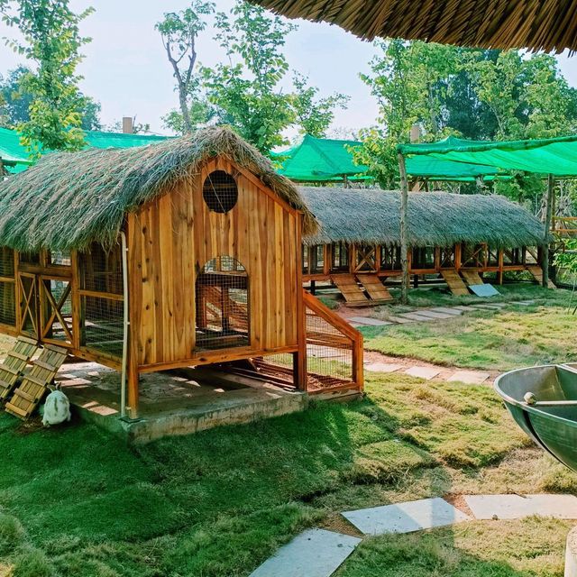 🦒 Safari Café – A Wild Little Escape in Novaworld, Phan Thiet