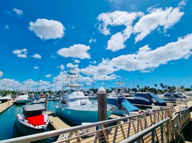 コオリナマリーナで感じる極上の海時間