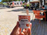 Ngong Ping Village)