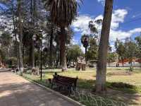 【Parque Simón Bolívar｜スクレの憩いと歴史が交差する都会のオアシス】