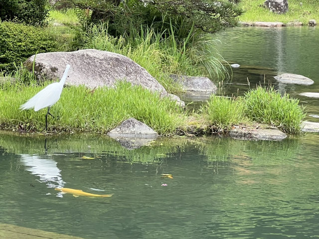 Yamaguchi’s Gem: Rurikiji Temple