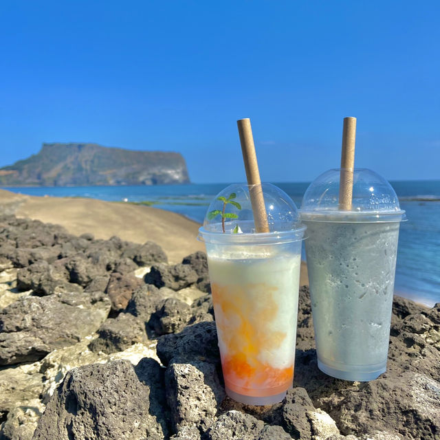 제주, 유채꽃과 바다가 선사한 눈부신여행기록🌊💕