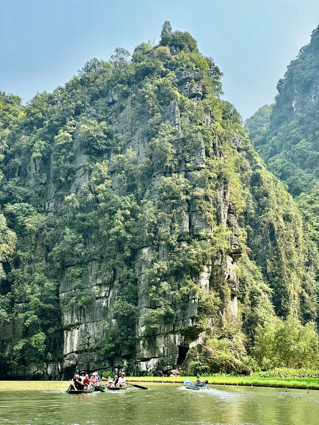 Oars, Caves, and Rice Dreams: Tam Coc Like You’ve Never Seen It