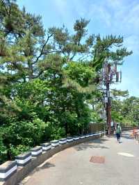 바다뷰 부산 명소