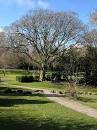 Queen's Park