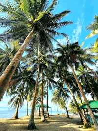 Isla Chica A Hidden, Budget-Friendly Gem in Quezon