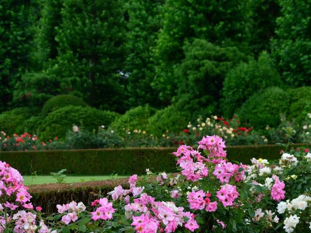 Shinjuku Gyoen National Garden