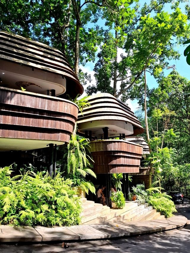 Ubud Itinerary