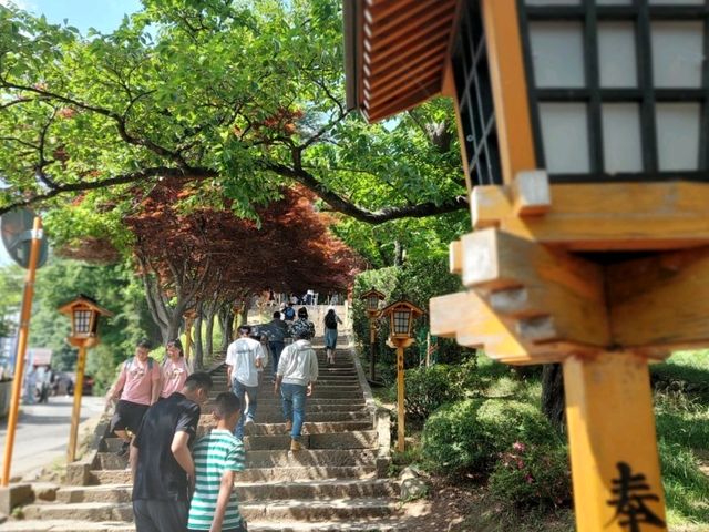 跟團遊富士山印、忍野八海路線