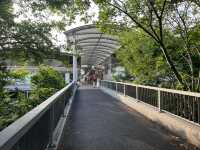 輕井澤王子購物廣場 輕井澤逛街景點 知名outlet