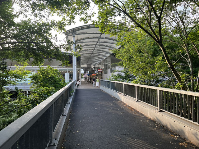 輕井澤王子購物廣場 輕井澤逛街景點 知名outlet