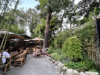 🌿☀️ Slow down and soak up the vibes at Chengdu People’s Park 人民公园
