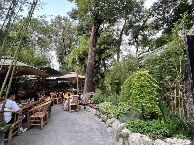 🌿☀️ Slow down and soak up the vibes at Chengdu People’s Park 人民公园