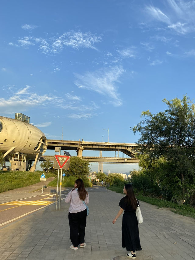 ปิกนิกที่สวนตุกซอม (Ttukseom Hangang Park) 🧺