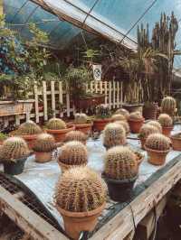 Strawberries, Flowers & Café Treats: A Day at Big Red Farm
