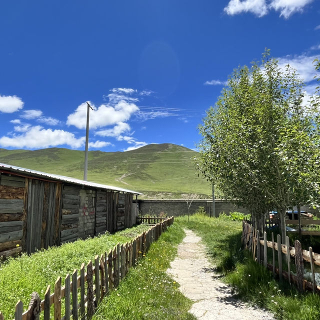🐟 Litang Highland Fish Restaurant – A Cozy Pit Stop in the Sky