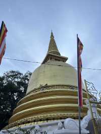 🏞️🇱🇰 Sigiriya + Dambulla Day Trip – Sri Lanka’s Ancient Wonders in One Day