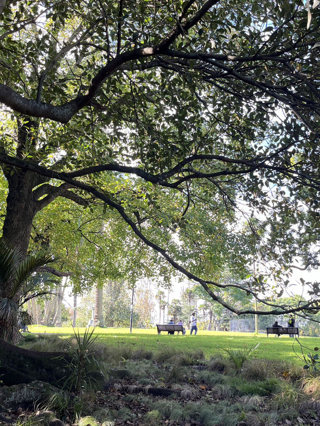 🎓🌿 The University of Waikato – Study Where Nature Breathes