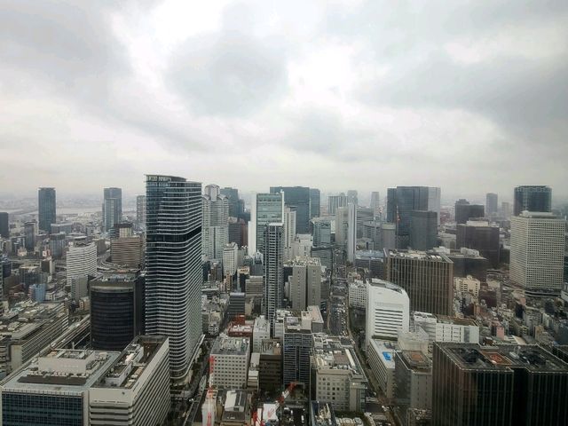 40 Sky Bar & Lounge (コンラッド大阪 40 スカイバー＆ラウンジ) 딸기 애프터눈티