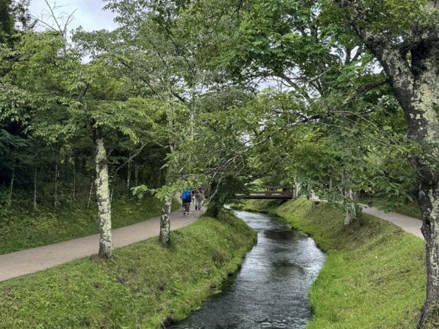 Mount Fuji & Surroundings: A Scenic Tour from Kawaguchiko to Oshino Hakkai! 🗻💧