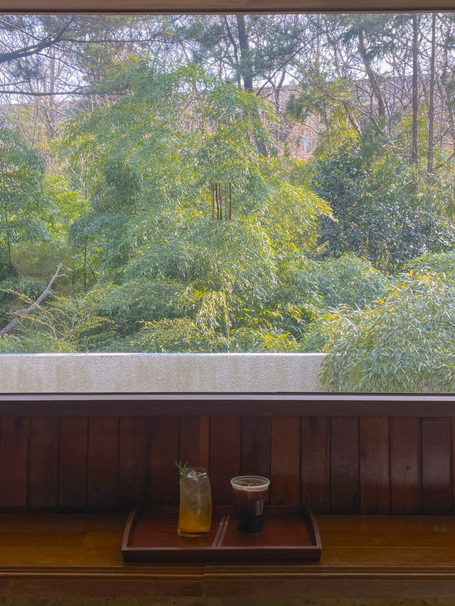 부산 영도 숲뷰 고양이가 있는 힐링 카페 