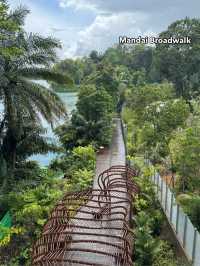 Finding things to do in Singapore? or where to go? 