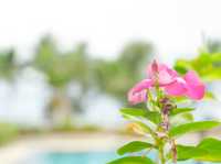  บรรยากาศ & ความเงียบสงบ พบกับ โรงแรมเวลคัมเวิร์ด