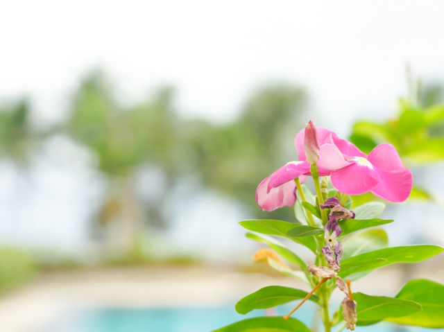  บรรยากาศ & ความเงียบสงบ พบกับ โรงแรมเวลคัมเวิร์ด