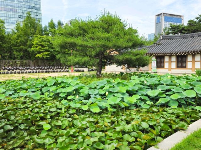 미추홀공원 언제가도 좋아요