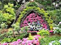花露農場