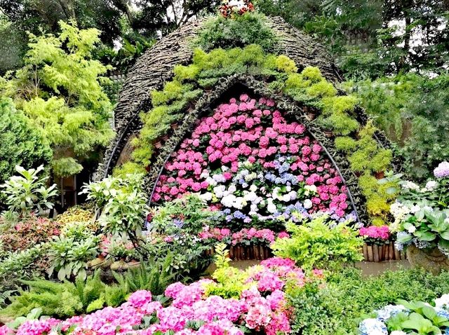 花露農場