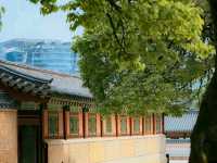 A Royal Walk Through Gyeongbokgung Palace